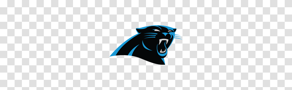 Carolina Panthers Alternate Logo Sports Logo History, Mammal, Animal, Wildlife, Statue Transparent Png