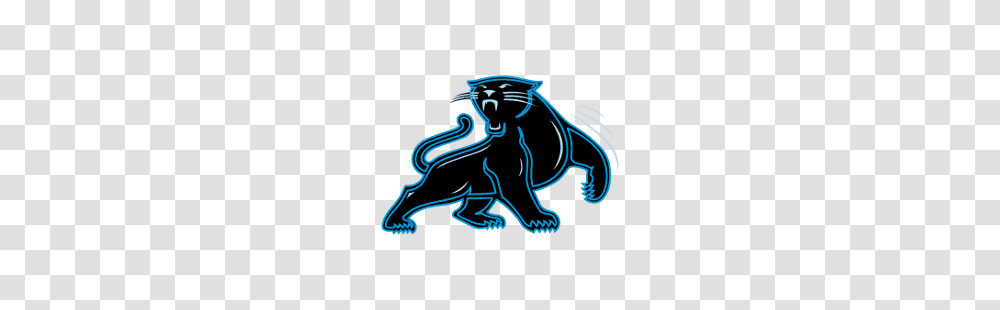 Carolina Panthers Alternate Logo Sports Logo History, Trademark, Emblem, Volleyball Transparent Png