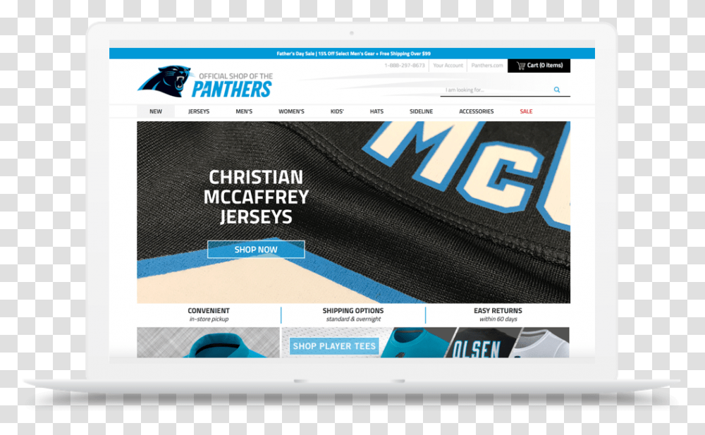 Carolina Panthers, Electronics, Computer, File, Screen Transparent Png