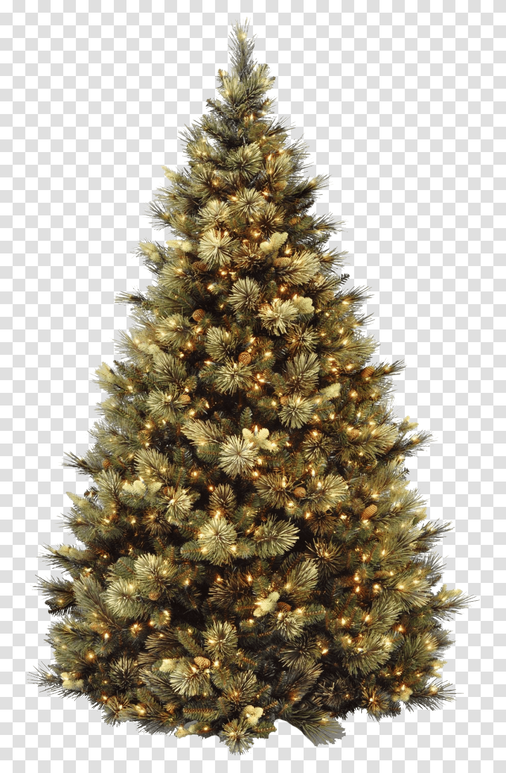 Carolina Pine Christmas Tree, Ornament, Plant, Conifer, Fir Transparent Png