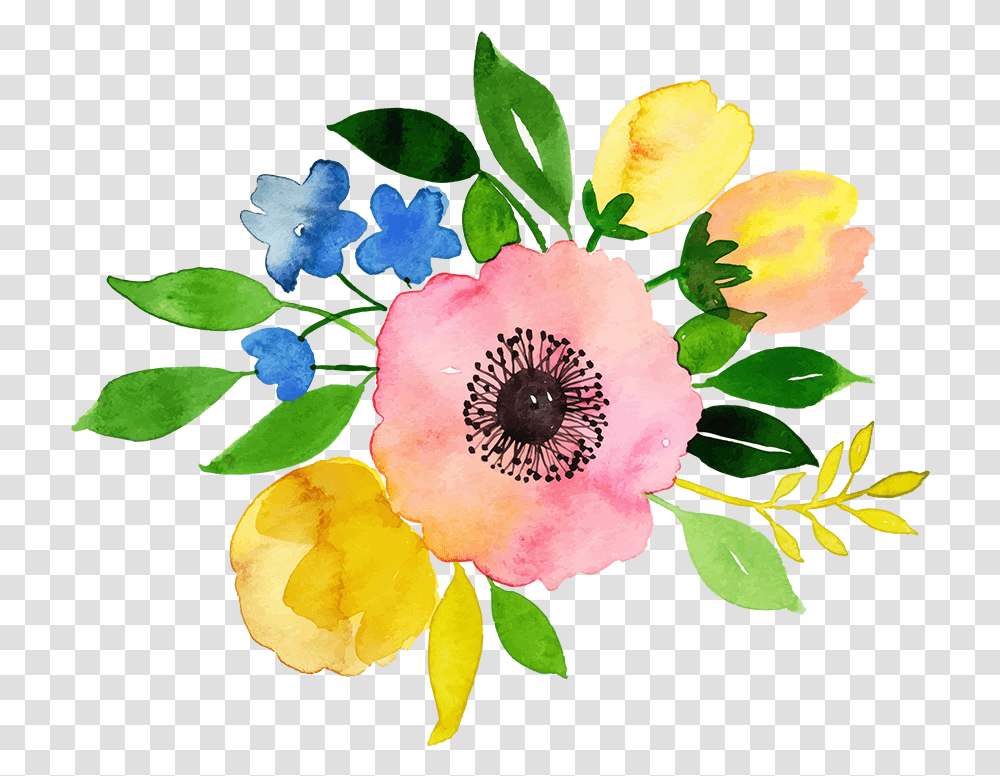 Carolina Rose, Plant, Flower, Petal, Anemone Transparent Png