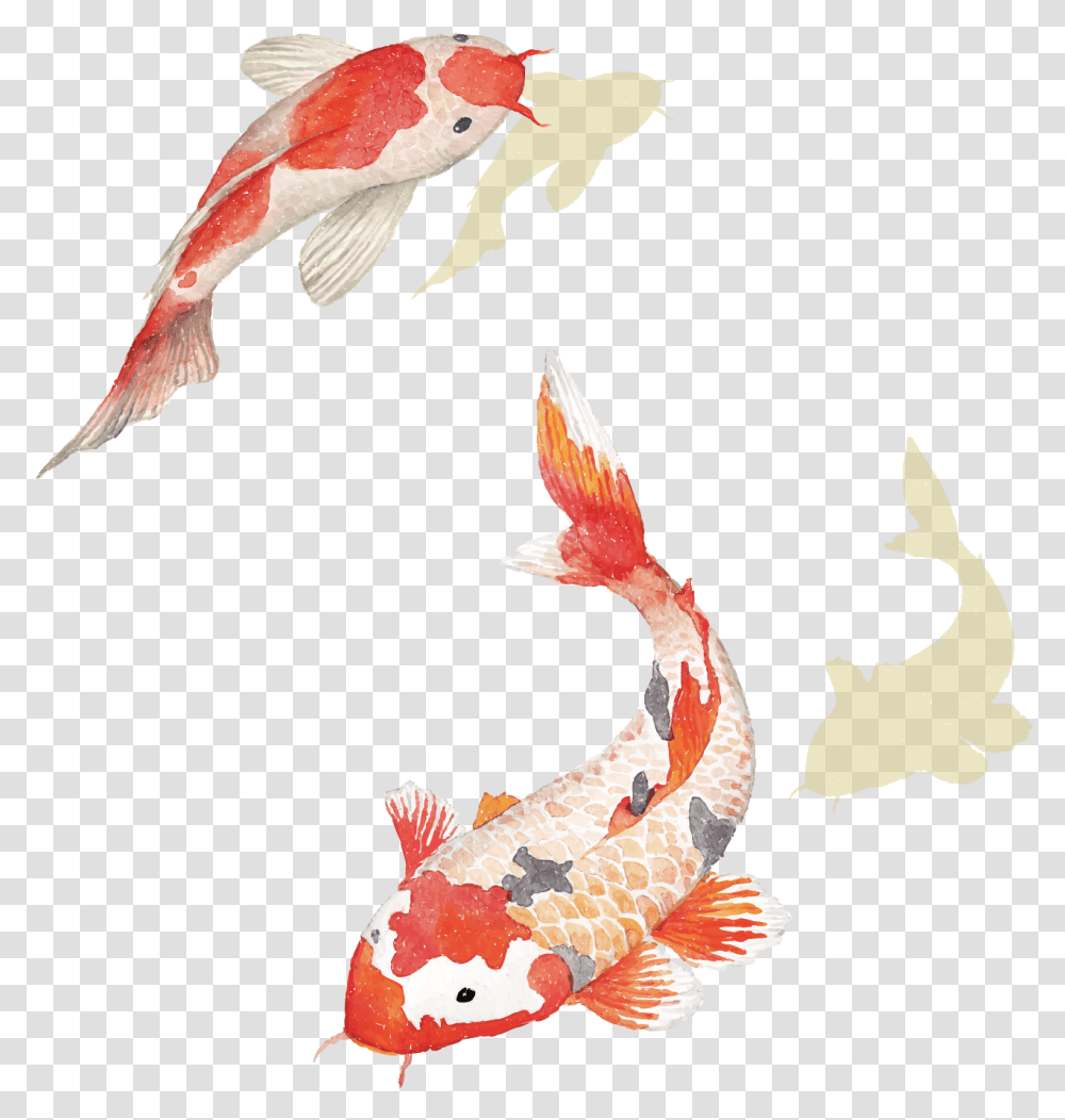 Carp Chinese Hd Clipart Koi Fish, Animal, Goldfish, Bird Transparent Png