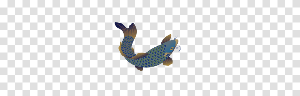 Carp Clipart, Aquatic, Water, Fish, Animal Transparent Png