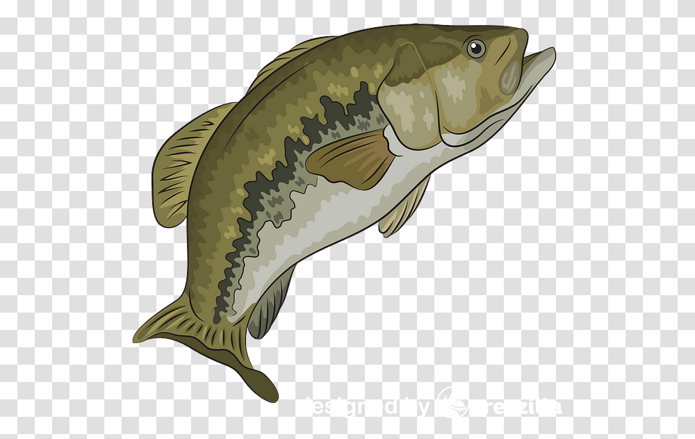 Carp Images Cartoon, Fish, Animal, Cod Transparent Png