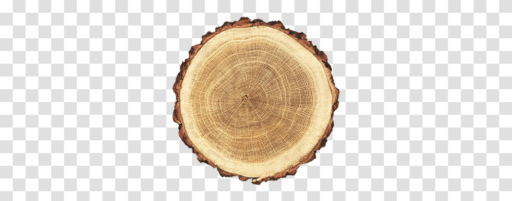 Carpentier Hardwood Solutions Wood Circle, Fungus, Plant, Tree Stump, Tree Trunk Transparent Png