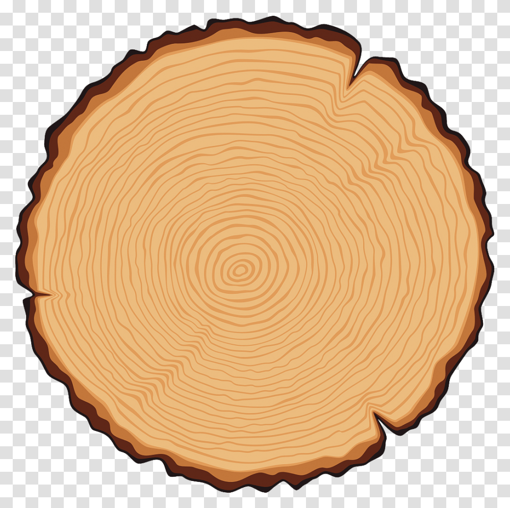 Carpentry Art And Madness Tree Stump Clipart, Lamp, Wood, Food, Plant Transparent Png