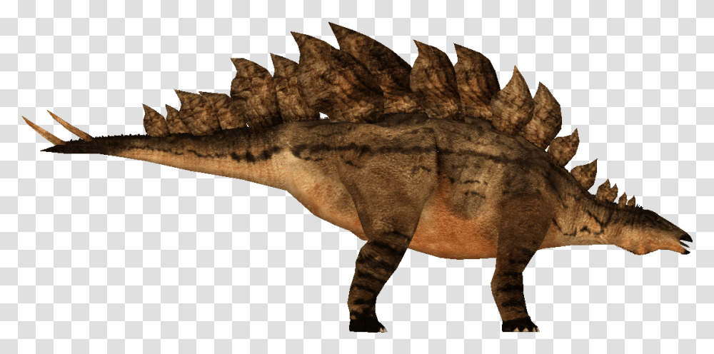 Carpet Download, Dinosaur, Reptile, Animal, T-Rex Transparent Png