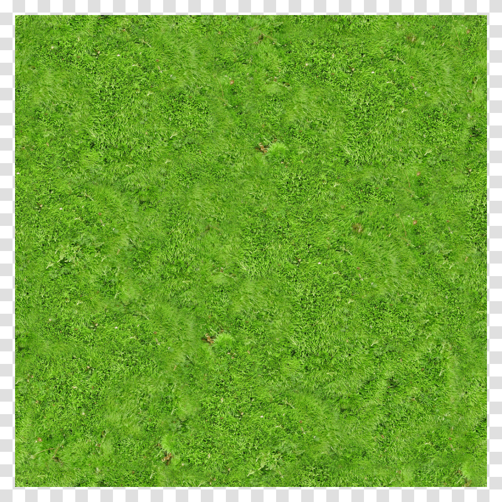 Carpet, Furniture, Grass, Plant, Lawn Transparent Png
