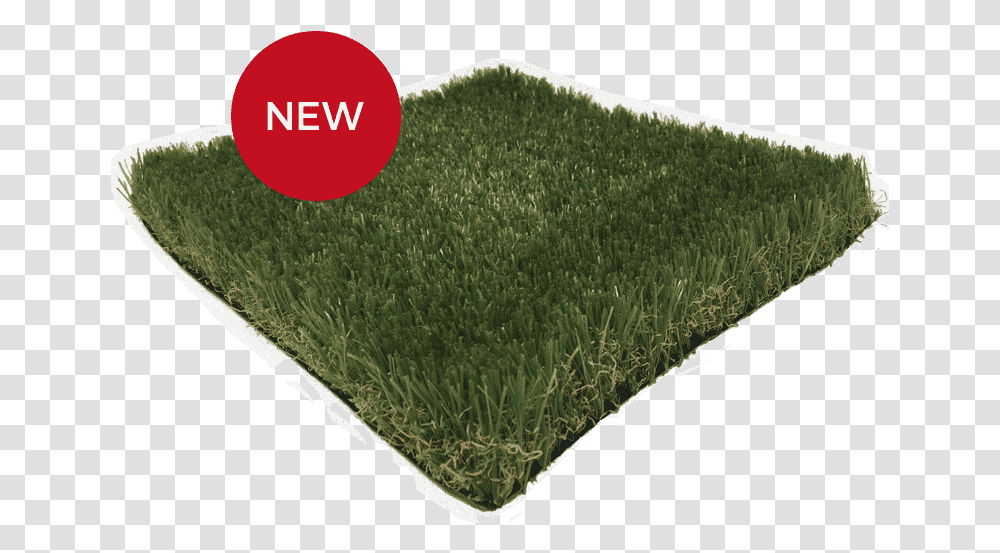 Carpet, Grass, Plant, Land, Outdoors Transparent Png