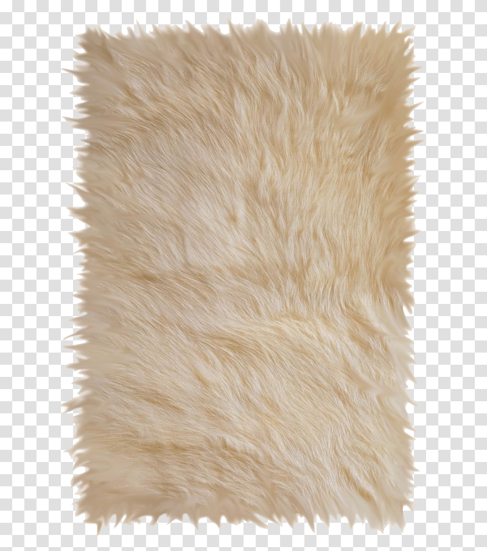 Carpet Image Carpet, Bird, Animal, Rug, Fur Transparent Png