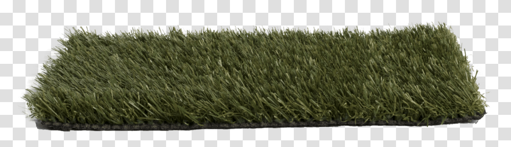 Carpet Roll Lawn, Grass, Plant, Vegetation, Field Transparent Png