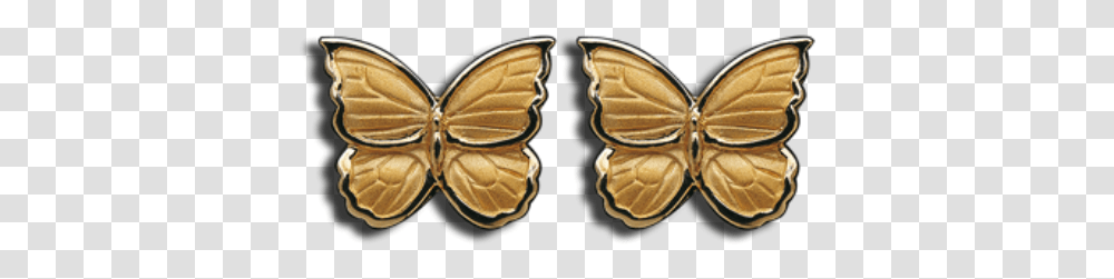 Carrera Y Carrera Baile De Mariposas Brush Footed Butterfly, Wood, Insect, Invertebrate, Animal Transparent Png