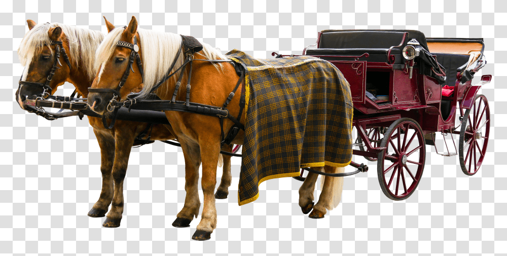 Carriage Horse And Buggy Transparent Png