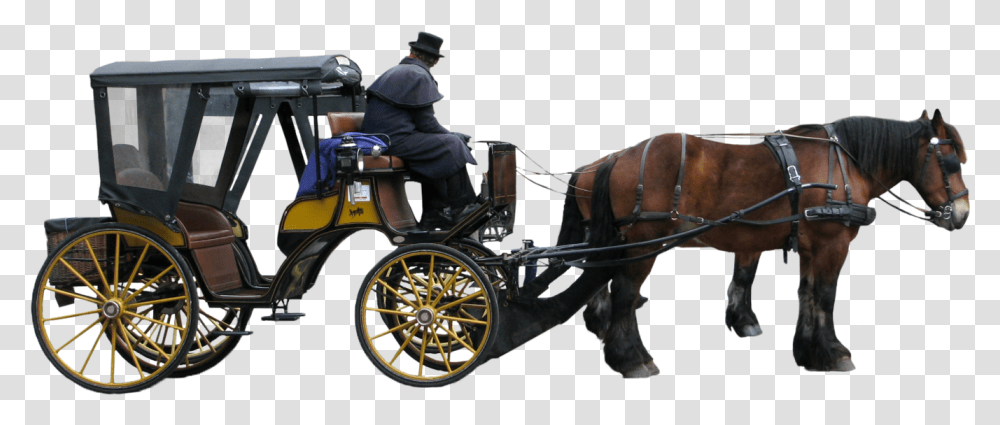 Carriage Horse Drawn Carriage, Mammal, Animal, Person, Human Transparent Png
