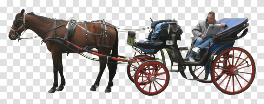 Carriage Horse Drawn Carriage, Person, Human, Mammal, Animal Transparent Png
