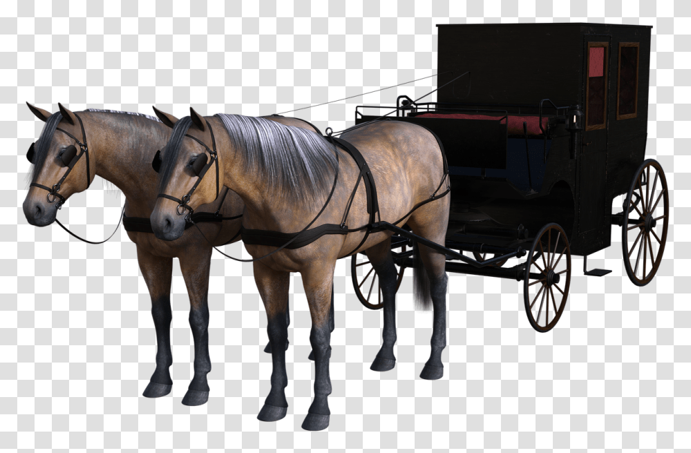Carriage Horse Drawn Free Photo Horse Carriage Background, Mammal, Animal, Vehicle, Transportation Transparent Png