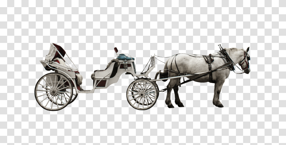 Carriage, Transport, Horse, Mammal, Animal Transparent Png