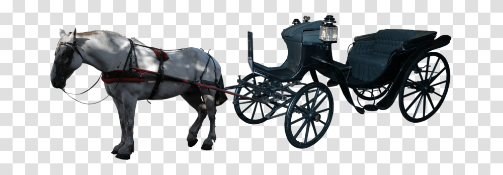 Carriage, Transport, Horse, Mammal, Animal Transparent Png