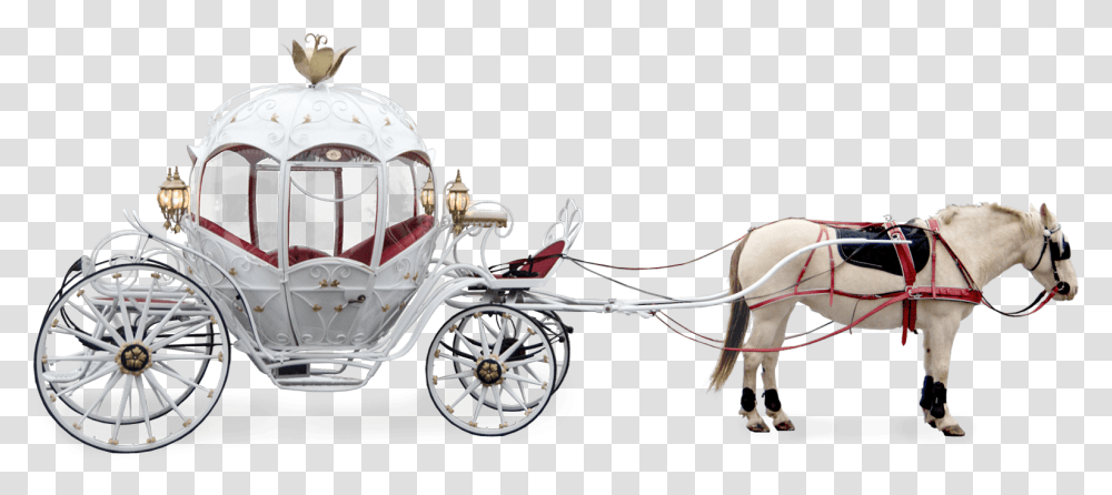 Carriage, Transport, Horse, Mammal, Animal Transparent Png