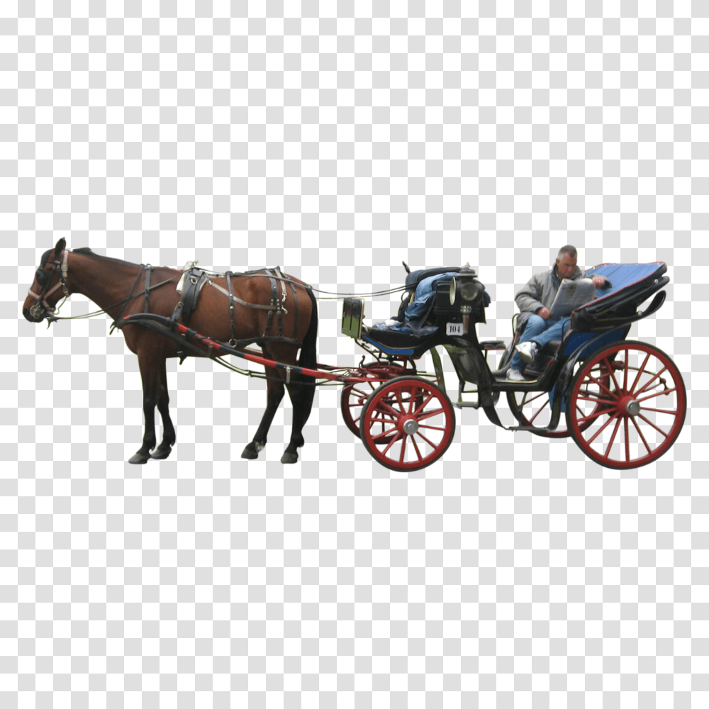 Carriage, Transport, Person, Human, Horse Transparent Png