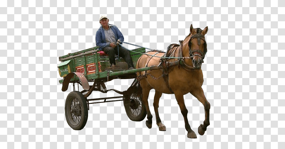Carriage, Transport, Person, Human, Horse Transparent Png