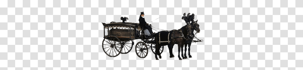 Carriage, Transport, Person, Human, Vehicle Transparent Png