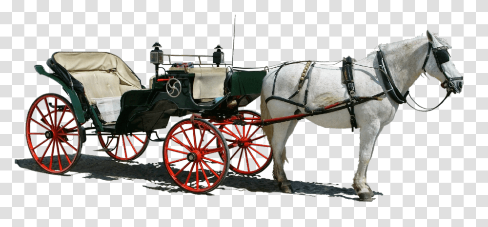 Carriage, Transport, Wheel, Machine, Horse Transparent Png