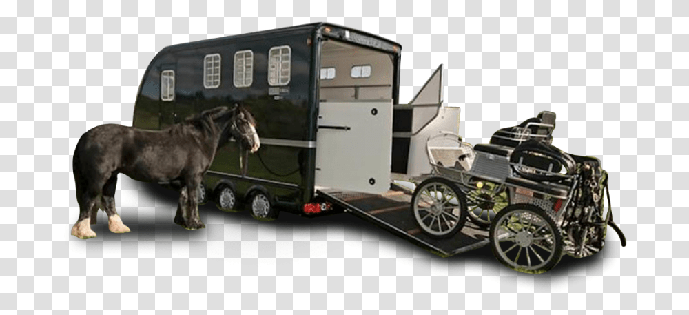 Carriage Treka Exterior Motor Vehicle, Transportation, Van, Horse, Mammal Transparent Png