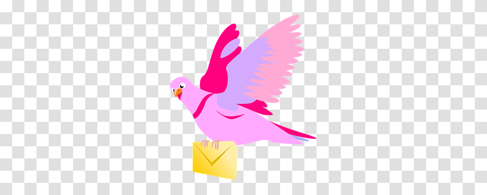 Carrier Pigeon Emotion, Bird, Animal, Dove Transparent Png