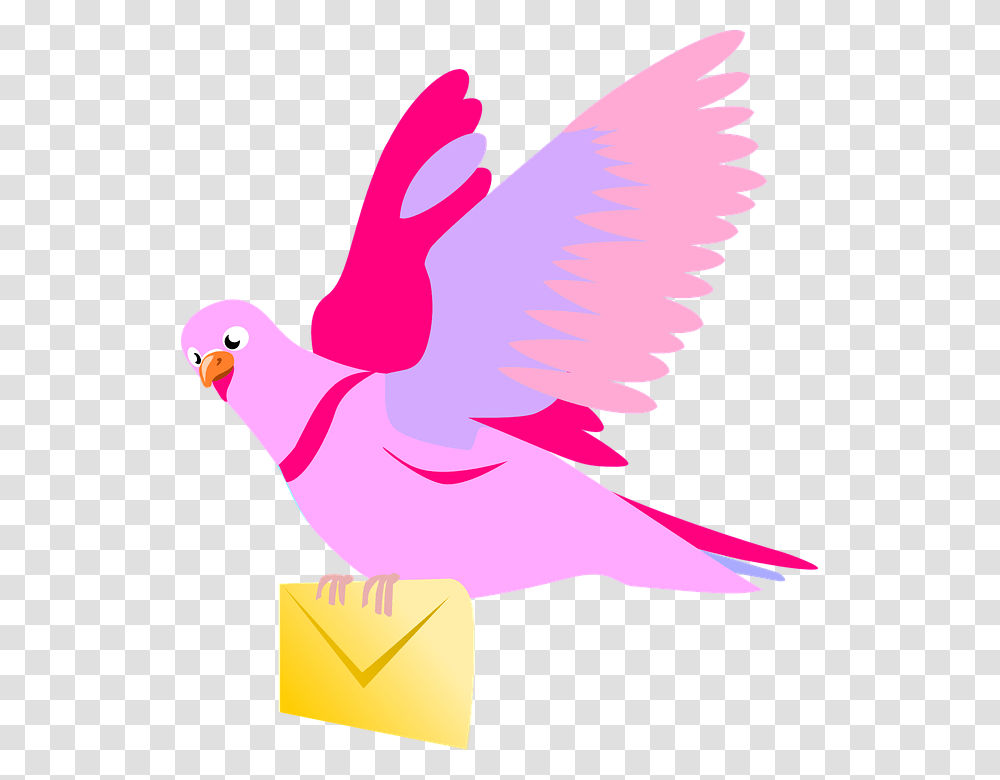 Carrier Pigeon Letter Pink Love Valentine Fly Flying Pigeon Clipart, Bird, Animal Transparent Png