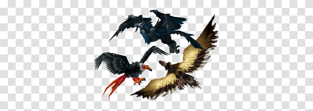Carrion Bird, Dragon, Animal, Eagle Transparent Png