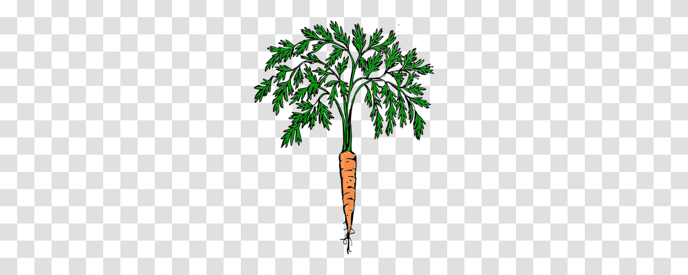 Carrot Food, Plant, Vegetable, Root Transparent Png