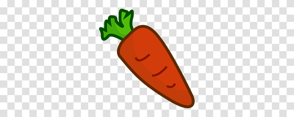 Carrot Nature, Plant, Vegetable, Food Transparent Png