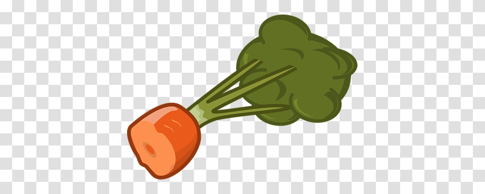 Carrot Food, Plant, Vegetable, Produce Transparent Png