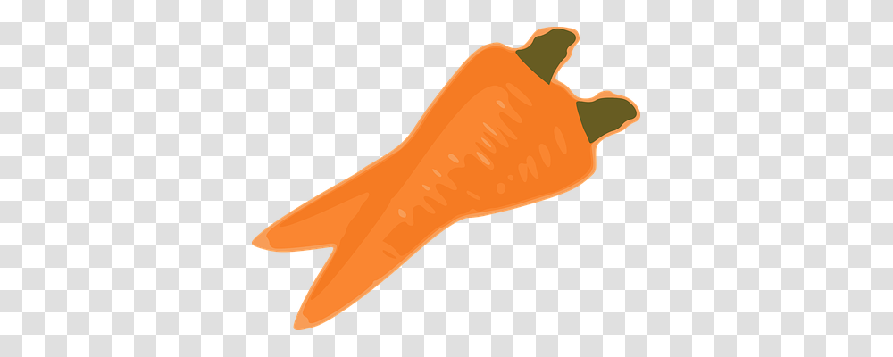 Carrot Food, Plant, Vegetable, Axe Transparent Png