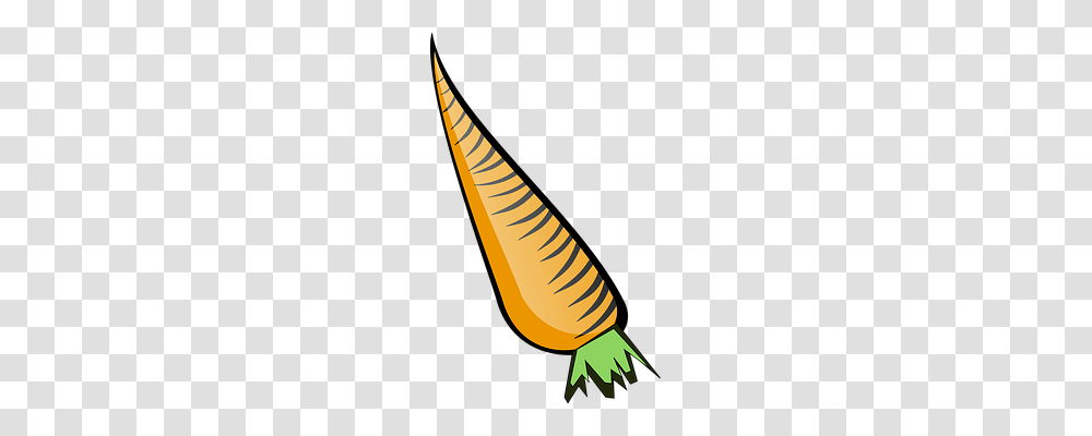 Carrot Cone, Plant, Produce, Food Transparent Png