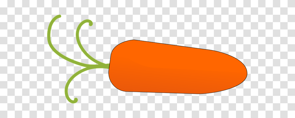 Carrot Food, Plant, Vegetable, Medication Transparent Png