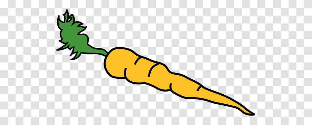 Carrot Nature, Plant, Food, Mustache Transparent Png