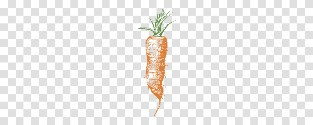 Carrot Food, Plant, Vegetable Transparent Png
