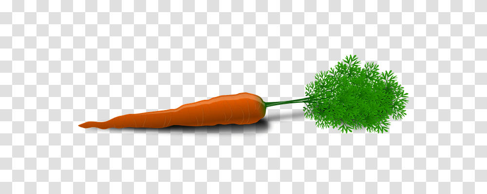 Carrot Food, Plant, Vegetable, Jar Transparent Png