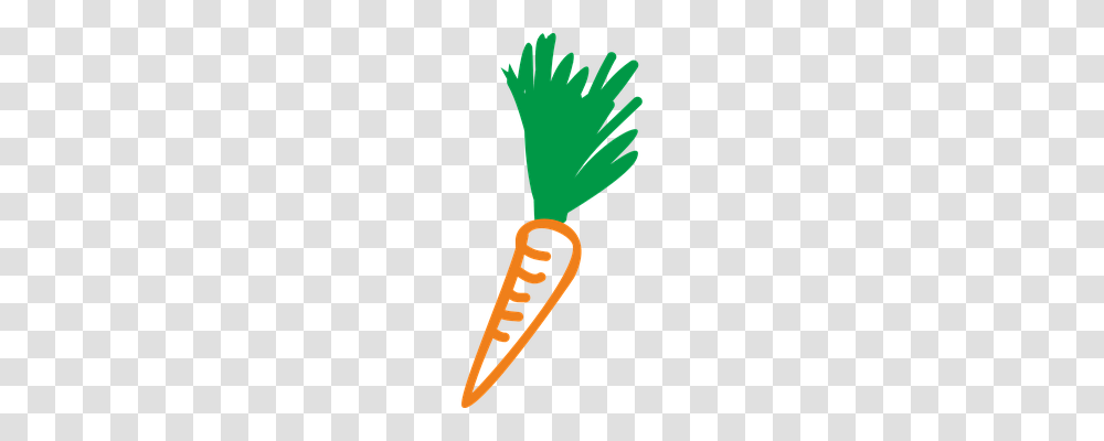 Carrot Nature, Apparel, Light Transparent Png