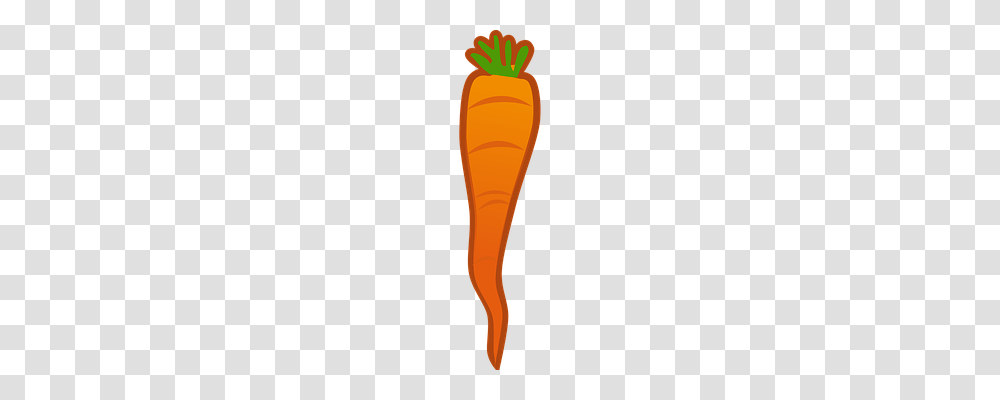 Carrot Food, Light, Beverage, Lager Transparent Png