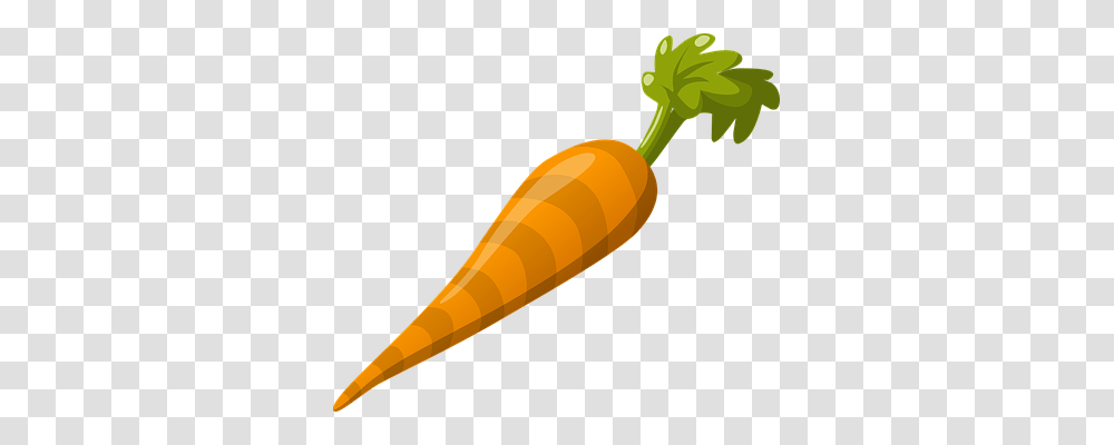 Carrot Food, Plant, Vegetable, Baseball Bat Transparent Png
