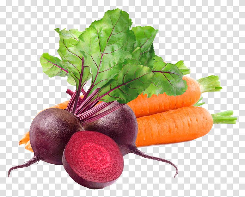 Carrot And Beetroot, Plant, Vegetable, Food, Turnip Transparent Png