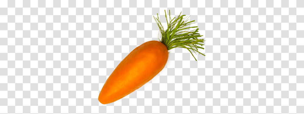 Carrot Background Single Carrot, Plant, Food, Vegetable, Fruit Transparent Png