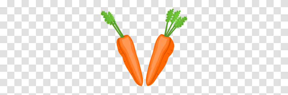 Carrot Cake Clip Art, Plant, Vegetable, Food Transparent Png