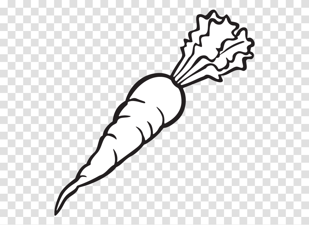 Carrot Carrot Clipart Black And White, Plant, Vegetable, Food, Produce Transparent Png