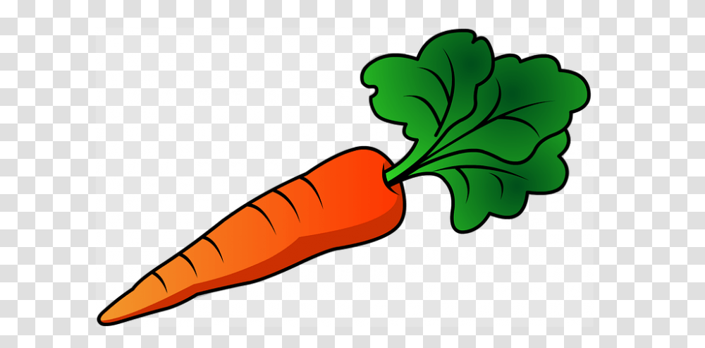 Carrot Carrot Clipart Vegetables Image And Clipart For Free, Plant, Food Transparent Png