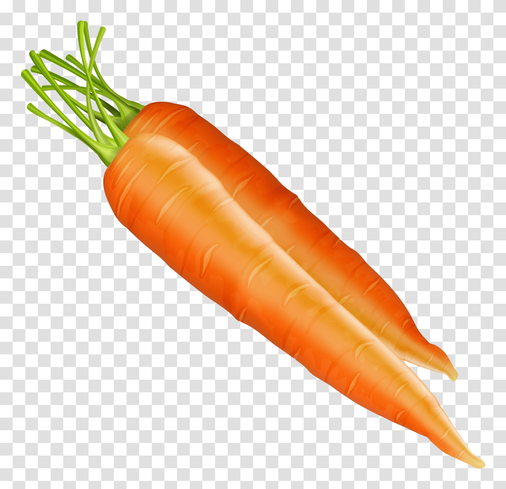 Carrot Carrots Clipart, Plant, Vegetable, Food Transparent Png
