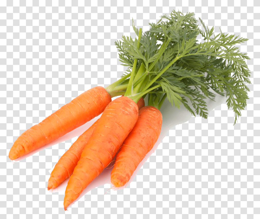 Carrot Carrots, Plant, Vegetable, Food, Hot Dog Transparent Png